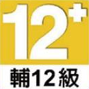 輔導12歲級