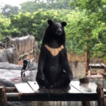 超”人”氣動物園