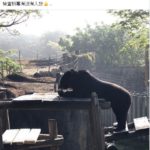 超”人”氣動物園