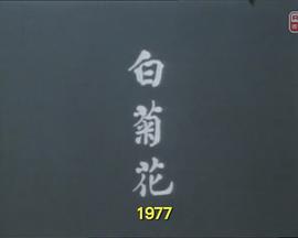 98yp 獅子山下：白菊花 線上看