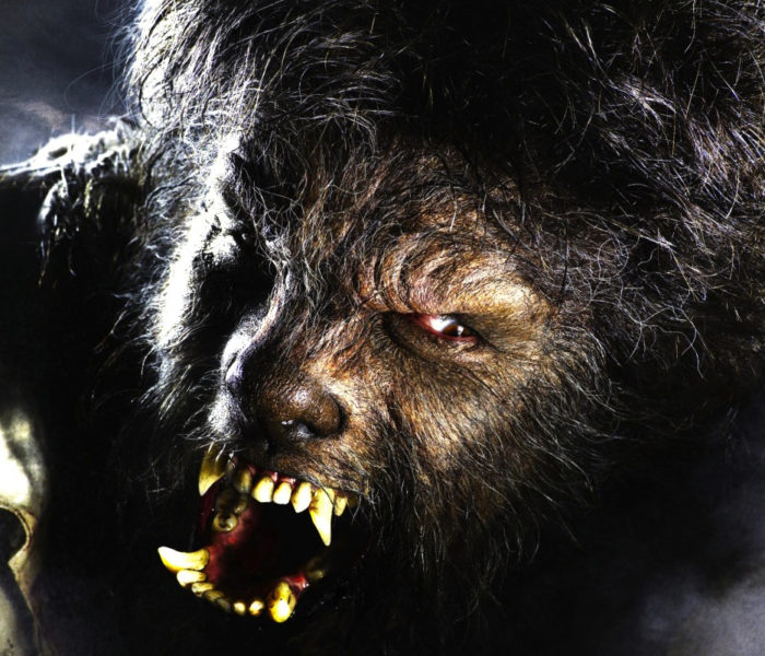 環球電影公司將找來雷恩葛斯林飾演新一代的「狼人」！