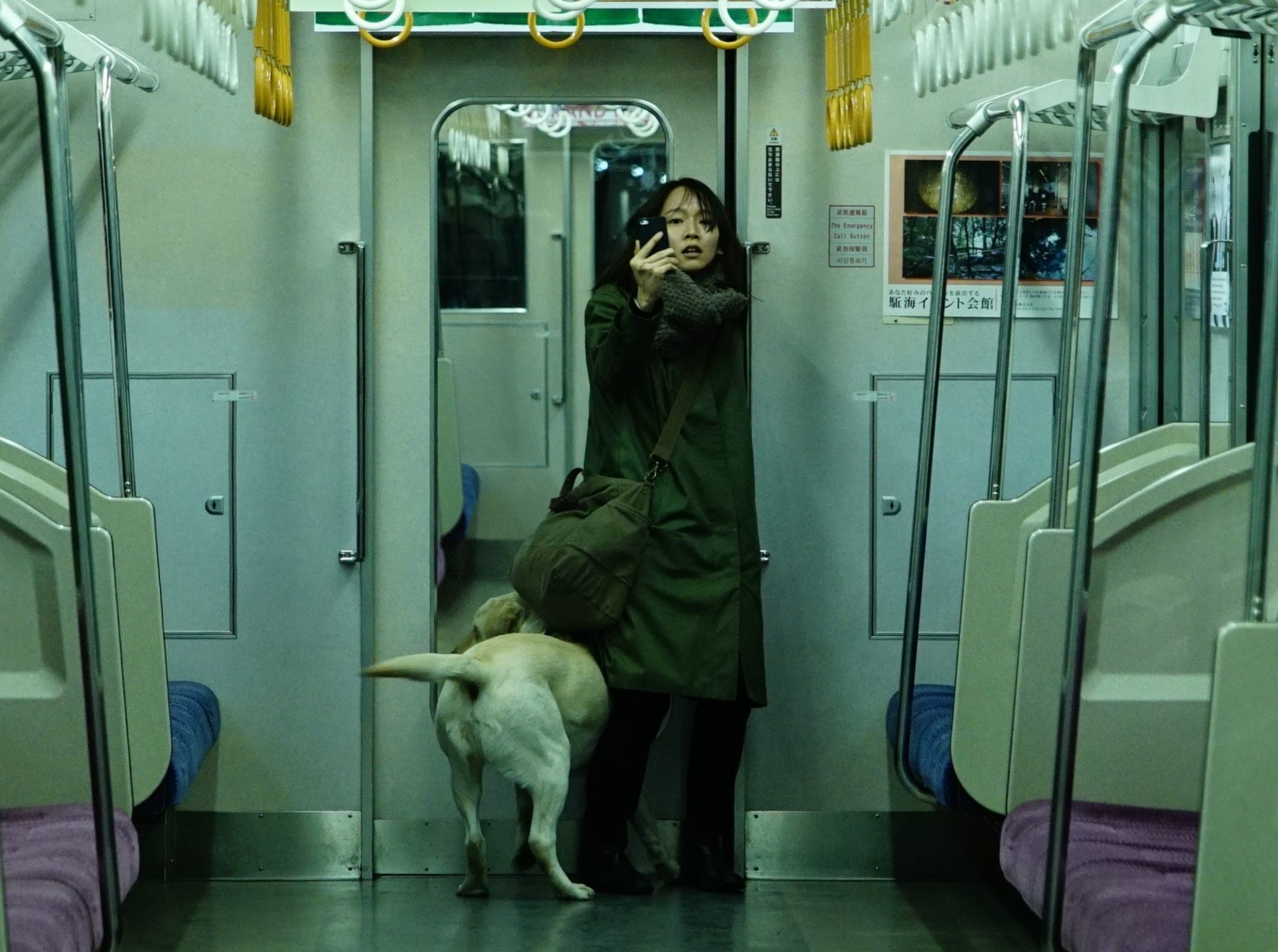 日本懸疑暴力強片《看不見的目擊者》　吉岡里帆扮盲人獲日本電影金像獎最佳新人肯定