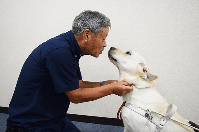 日本懸疑暴力強片《看不見的目擊者》　超萌拉不拉多超搶戲吉岡里帆秒圈粉